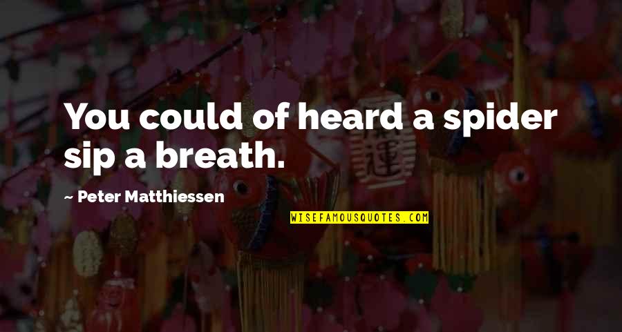 Matthiessen Quotes By Peter Matthiessen: You could of heard a spider sip a