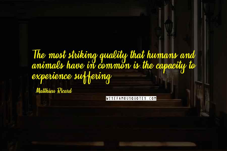 Matthieu Ricard quotes: The most striking quality that humans and animals have in common is the capacity to experience suffering. Matthieu Ricard quotes: The most striking quality that humans and animals have in common is the capacity to experience suffering.