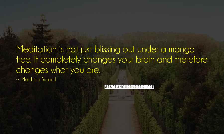 Matthieu Ricard quotes: Meditation is not just blissing out under a mango tree. It completely changes your brain and therefore changes what you are.
