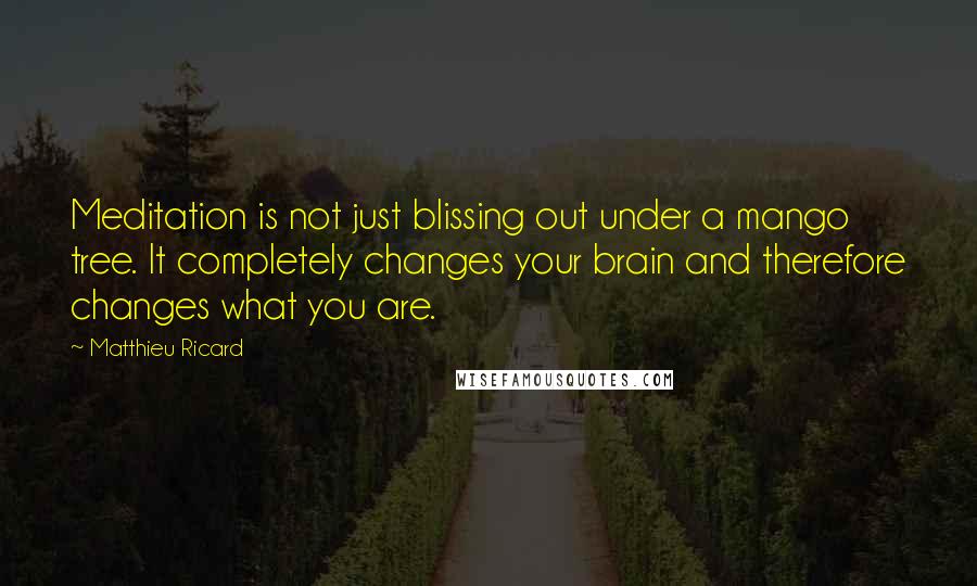 Matthieu Ricard quotes: Meditation is not just blissing out under a mango tree. It completely changes your brain and therefore changes what you are. Matthieu Ricard quotes: Meditation is not just blissing out under a mango tree. It completely changes your brain and therefore changes what you are.