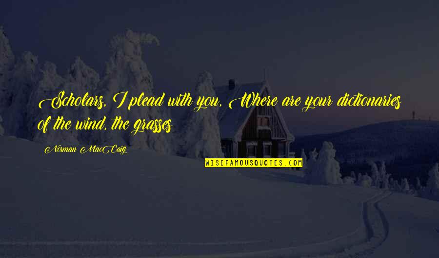 Mattinson Partnership Quotes By Norman MacCaig: Scholars, I plead with you, Where are your