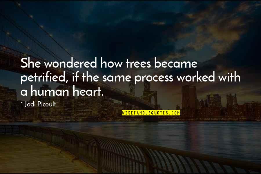 Matuku Lau Quotes By Jodi Picoult: She wondered how trees became petrified, if the Matuku Lau Quotes By Jodi Picoult: She wondered how trees became petrified, if the