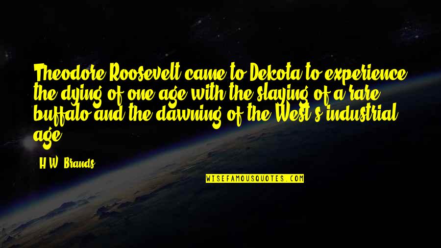 Maturation Quotes By H.W. Brands: Theodore Roosevelt came to Dekota to experience the Maturation Quotes By H.W. Brands: Theodore Roosevelt came to Dekota to experience the
