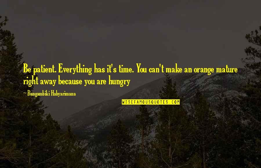 Mature Quotes By Bangambiki Habyarimana: Be patient. Everything has it's time. You can't
