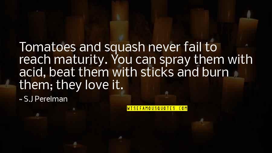 Maturity In Love Quotes By S.J Perelman: Tomatoes and squash never fail to reach maturity.