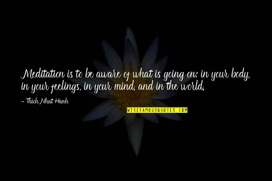 Matyia Quotes By Thich Nhat Hanh: Meditation is to be aware of what is