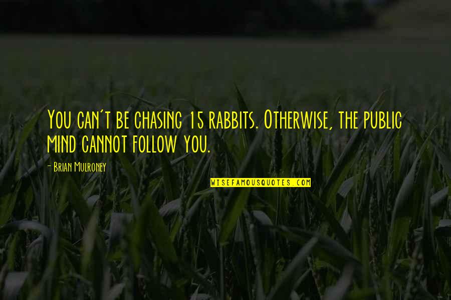 Maulana Abul Quotes By Brian Mulroney: You can't be chasing 15 rabbits. Otherwise, the