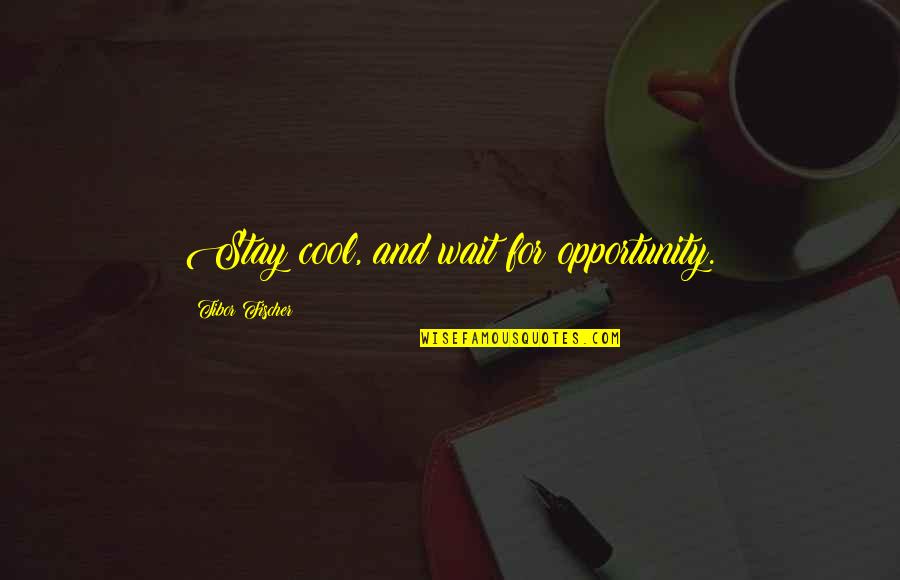 Maulana Ubaidullah Sindhi Quotes By Tibor Fischer: Stay cool, and wait for opportunity.