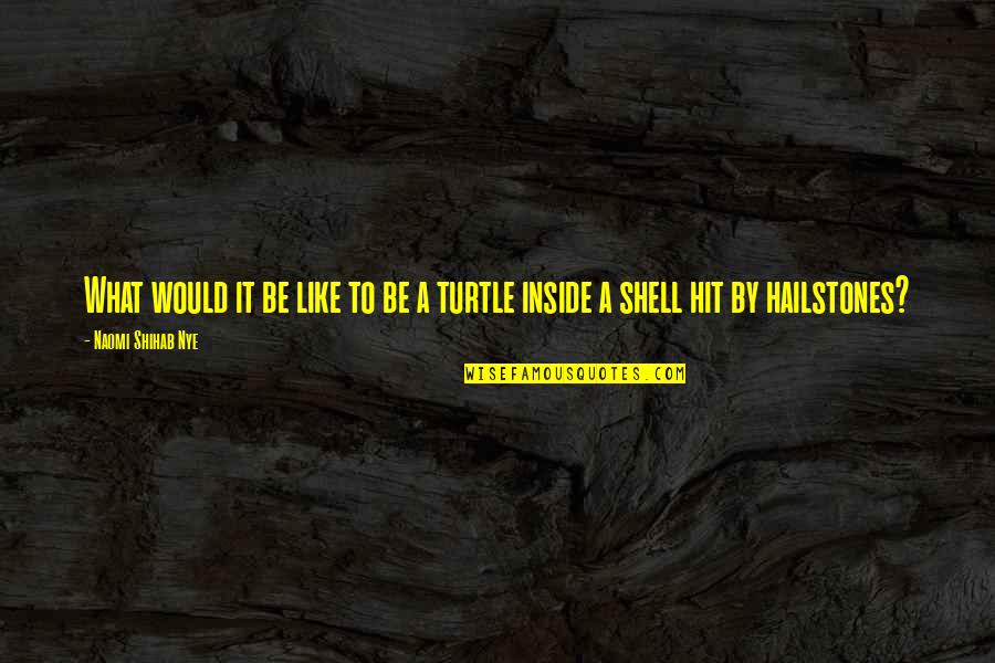 Maulding Quotes By Naomi Shihab Nye: What would it be like to be a