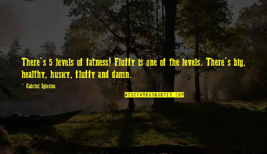 Maulhardt Barn Quotes By Gabriel Iglesias: There's 5 levels of fatness! Fluffy is one
