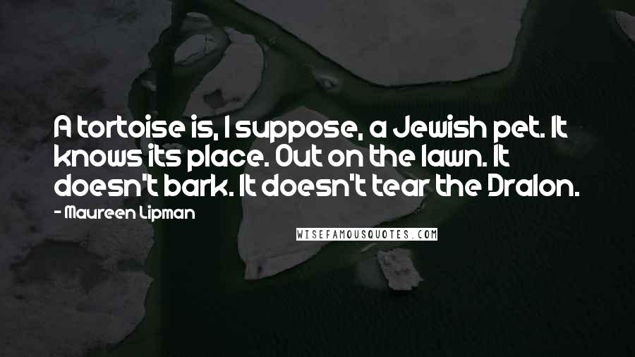 Maureen Lipman quotes: A tortoise is, I suppose, a Jewish pet. It knows its place. Out on the lawn. It doesn't bark. It doesn't tear the Dralon.