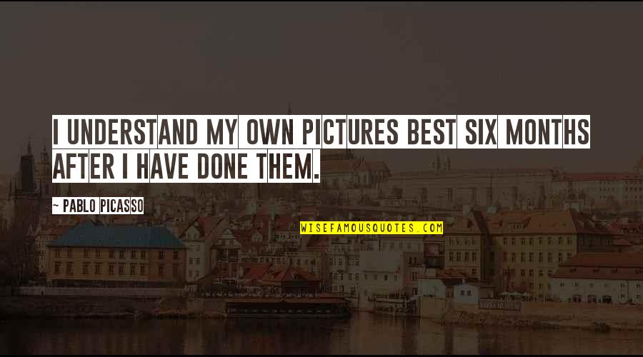 Mauren Brodbeck Quotes By Pablo Picasso: I understand my own pictures best six months