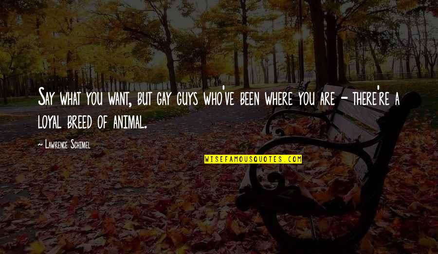 Mauretania Scrapping Quotes By Lawrence Schimel: Say what you want, but gay guys who've Mauretania Scrapping Quotes By Lawrence Schimel: Say what you want, but gay guys who've