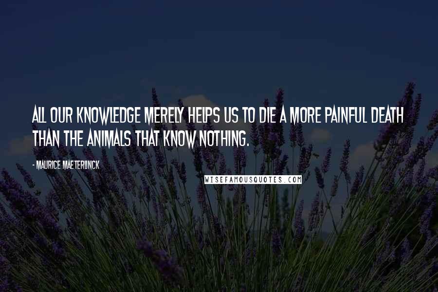 Maurice Maeterlinck quotes: All our knowledge merely helps us to die a more painful death than the animals that know nothing.
