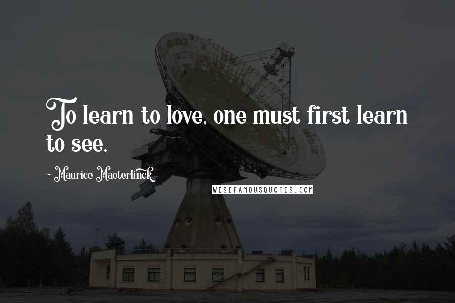 Maurice Maeterlinck quotes: To learn to love, one must first learn to see.