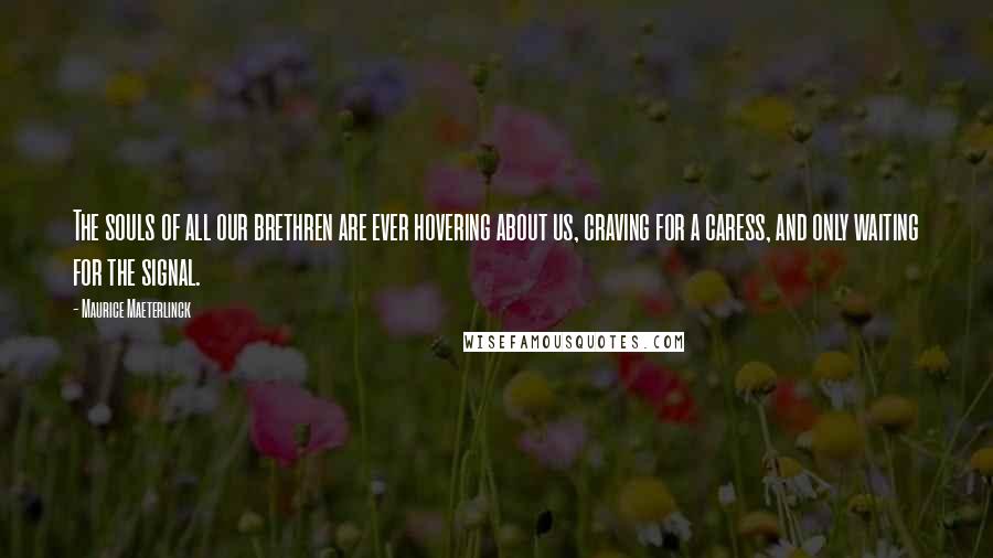 Maurice Maeterlinck quotes: The souls of all our brethren are ever hovering about us, craving for a caress, and only waiting for the signal.