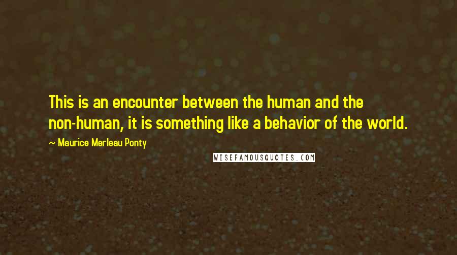 Maurice Merleau Ponty quotes: This is an encounter between the human and the non-human, it is something like a behavior of the world.