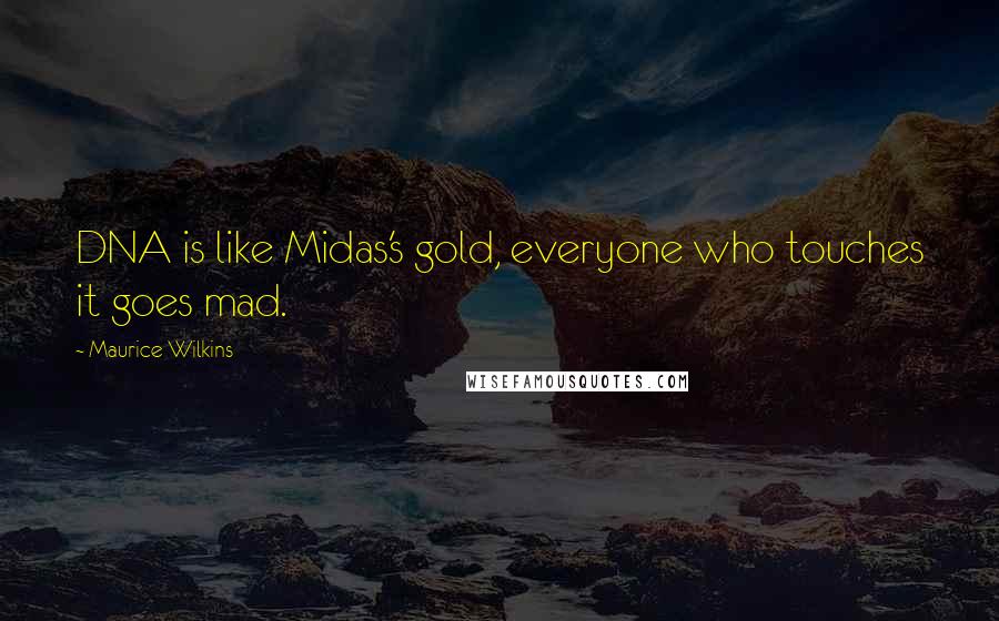 Maurice Wilkins quotes: DNA is like Midas's gold, everyone who touches it goes mad.