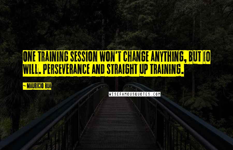 Mauricio Rua quotes: One training session won't change anything, but 10 will. Perseverance and straight up training.