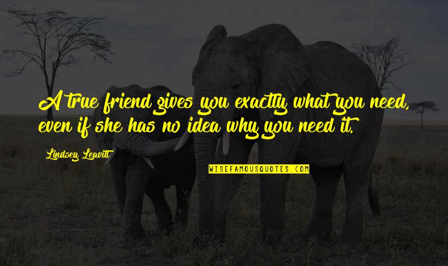 Mauritius Commercial Bank Quotes By Lindsey Leavitt: A true friend gives you exactly what you