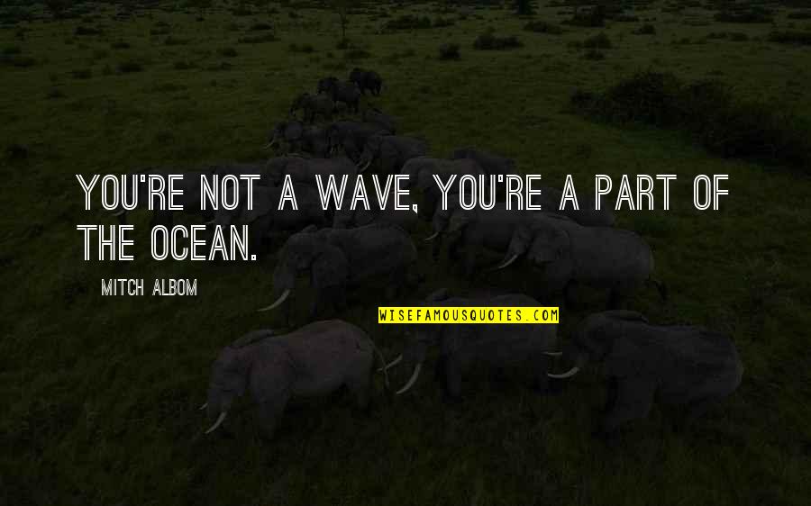 Maurus Drums Quotes By Mitch Albom: You're not a wave, you're a part of