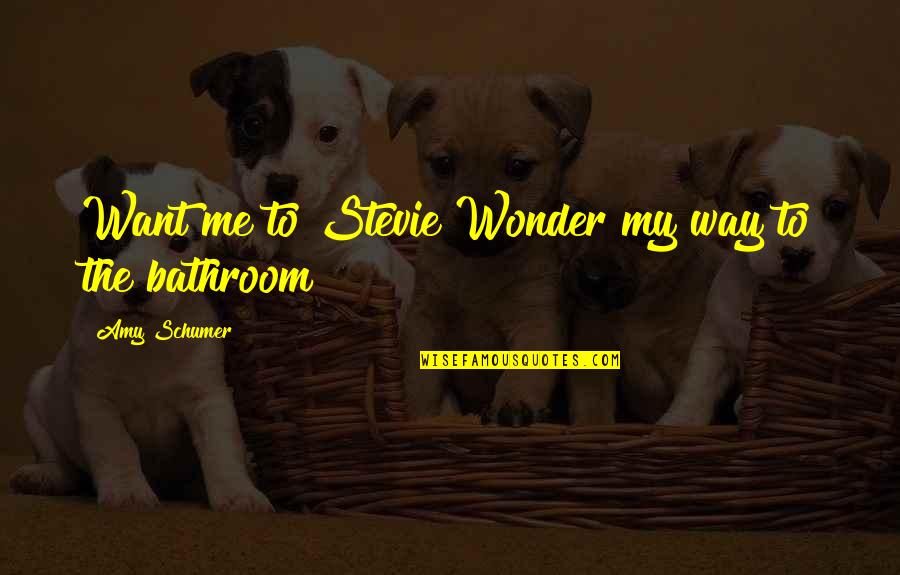 Maurys Quotes By Amy Schumer: Want me to Stevie Wonder my way to Maurys Quotes By Amy Schumer: Want me to Stevie Wonder my way to