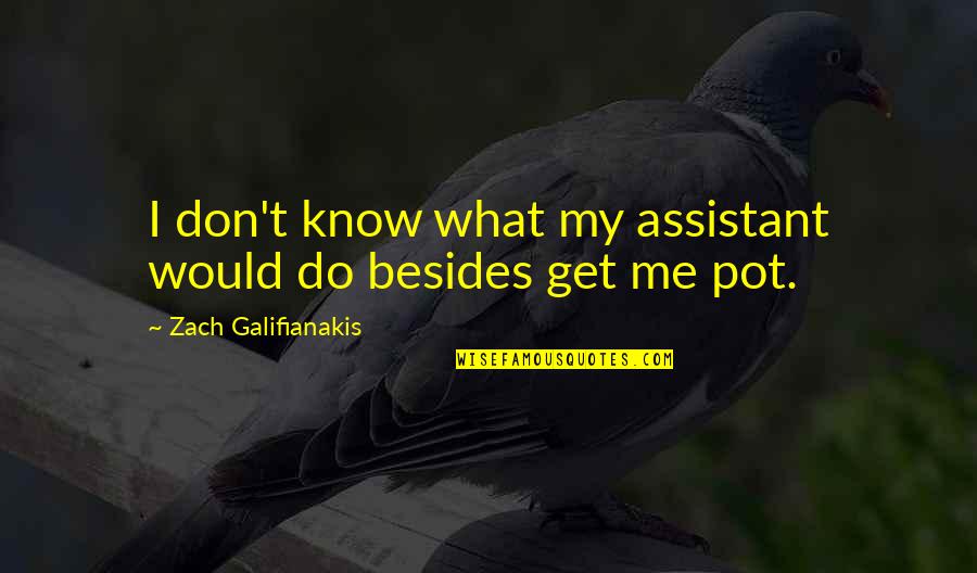 Mauving Quotes By Zach Galifianakis: I don't know what my assistant would do