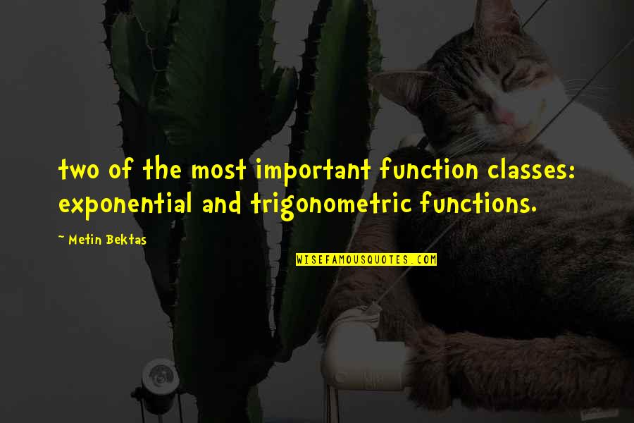 Mav And Goose Quotes By Metin Bektas: two of the most important function classes: exponential