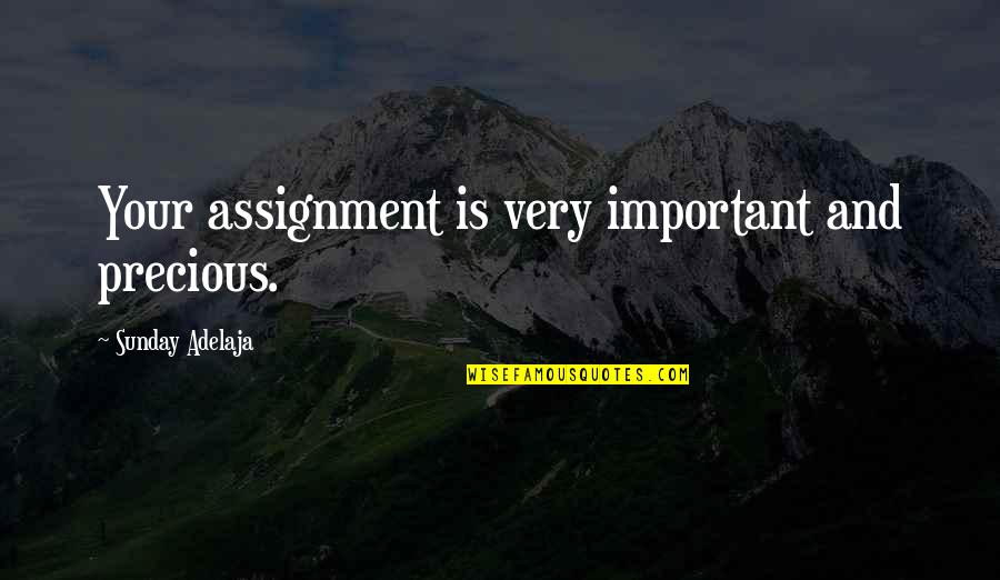 Maverick 1994 Quotes By Sunday Adelaja: Your assignment is very important and precious.