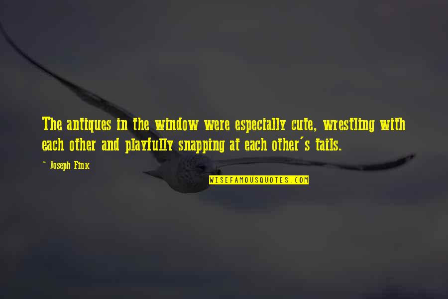 Maveynn Quotes By Joseph Fink: The antiques in the window were especially cute,