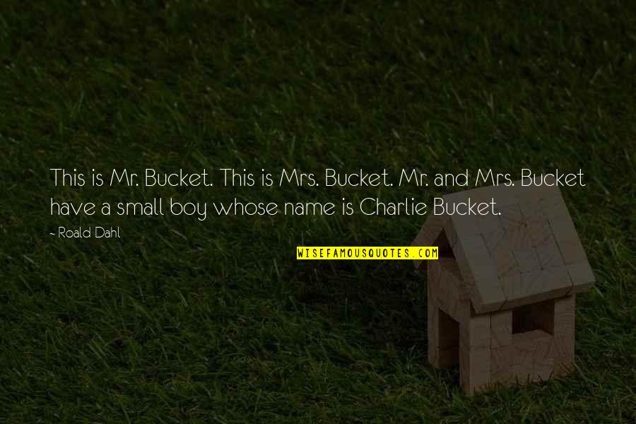 Max Immelmann Quotes By Roald Dahl: This is Mr. Bucket. This is Mrs. Bucket.