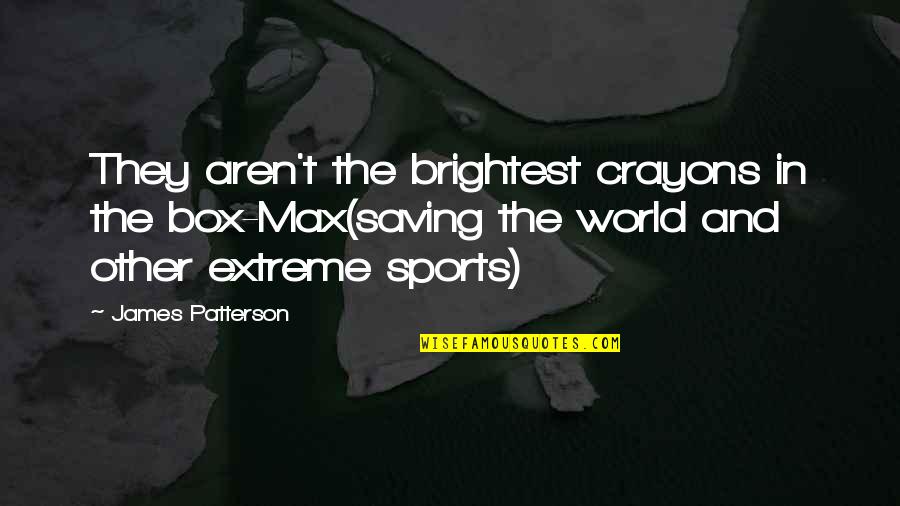 Max Ride Quotes By James Patterson: They aren't the brightest crayons in the box-Max(saving Max Ride Quotes By James Patterson: They aren't the brightest crayons in the box-Max(saving