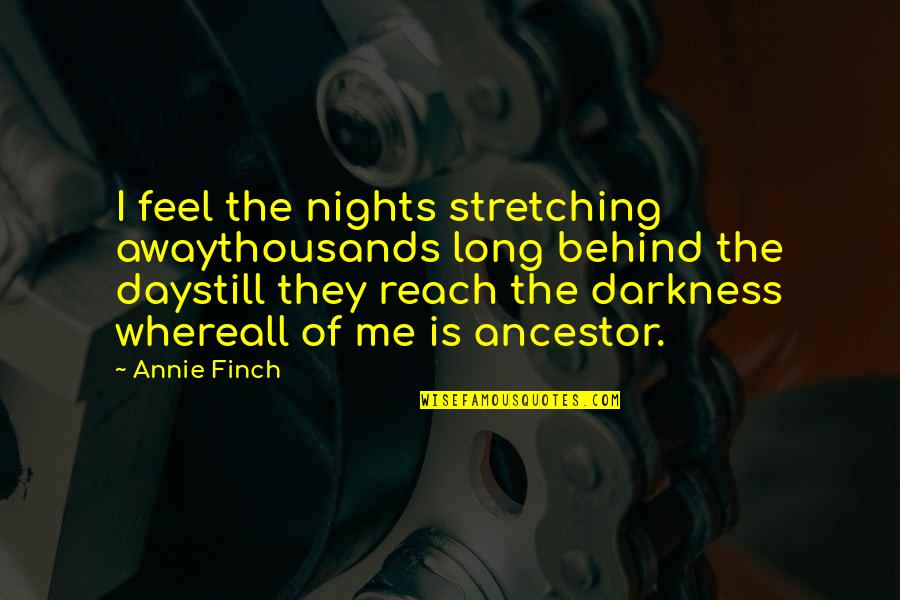 Max Vandenburg Quotes By Annie Finch: I feel the nights stretching awaythousands long behind