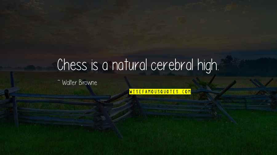 Maxi Skirt Quotes By Walter Browne: Chess is a natural cerebral high.