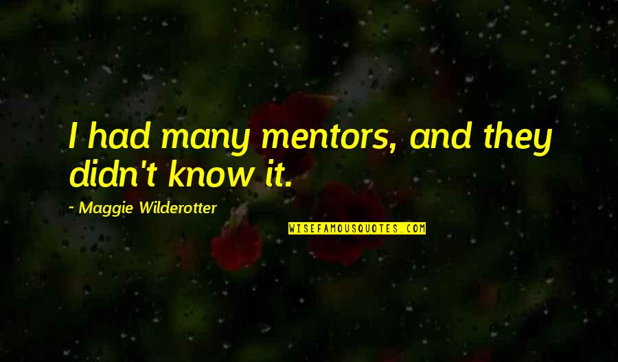 Maxi Taxi Quotes By Maggie Wilderotter: I had many mentors, and they didn't know