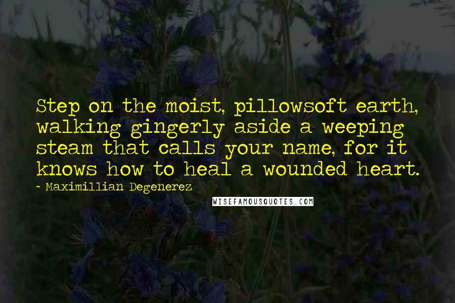 Maximillian Degenerez quotes: Step on the moist, pillowsoft earth, walking gingerly aside a weeping steam that calls your name, for it knows how to heal a wounded heart.