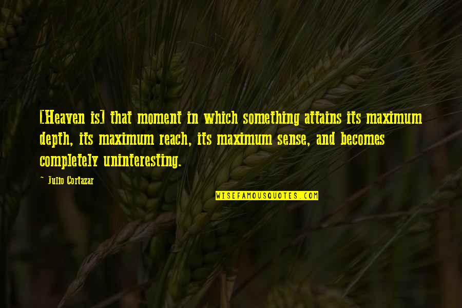 Maximum Quotes By Julio Cortazar: [Heaven is] that moment in which something attains