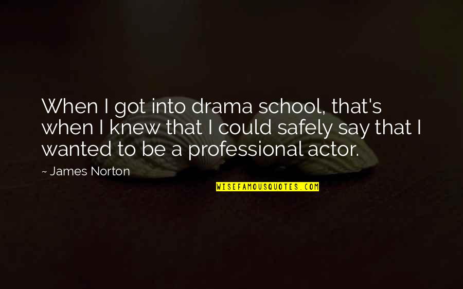 Maxine Hallmark Quotes By James Norton: When I got into drama school, that's when