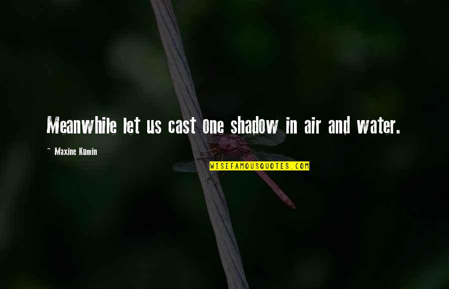 Maxine Quotes By Maxine Kumin: Meanwhile let us cast one shadow in air Maxine Quotes By Maxine Kumin: Meanwhile let us cast one shadow in air