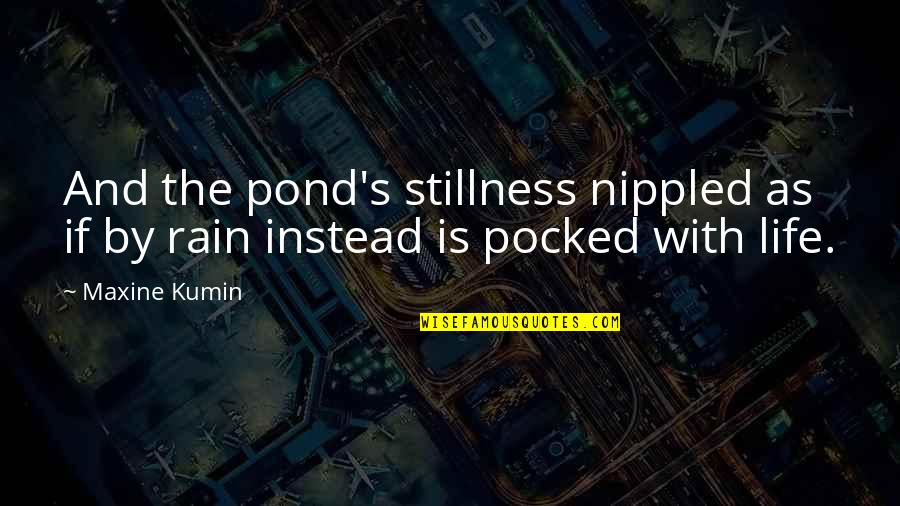 Maxine Quotes By Maxine Kumin: And the pond's stillness nippled as if by