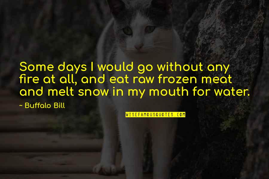 May Allah Give Me Shifa Quotes By Buffalo Bill: Some days I would go without any fire