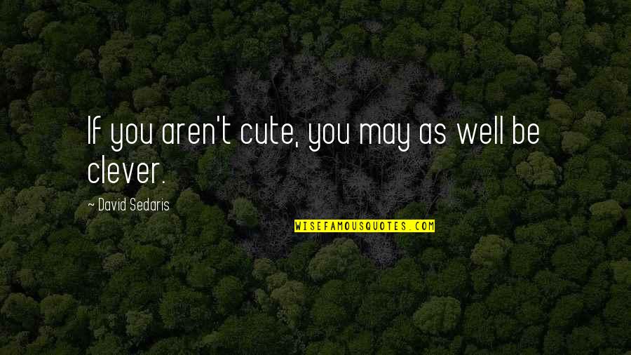 May As Well Quotes By David Sedaris: If you aren't cute, you may as well