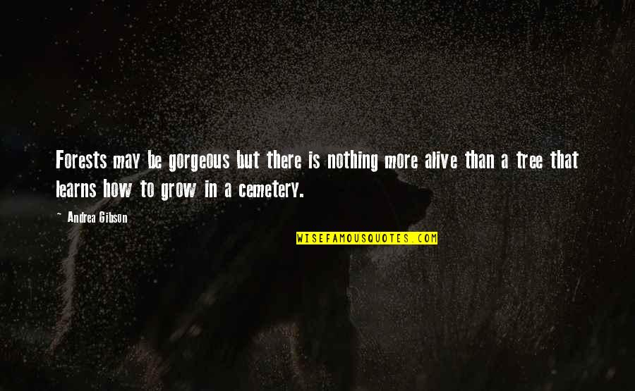 May Be Alive Quotes By Andrea Gibson: Forests may be gorgeous but there is nothing May Be Alive Quotes By Andrea Gibson: Forests may be gorgeous but there is nothing