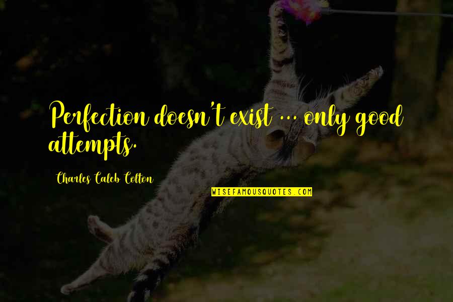 May Not Be The Prettiest Quotes By Charles Caleb Colton: Perfection doesn't exist ... only good attempts.