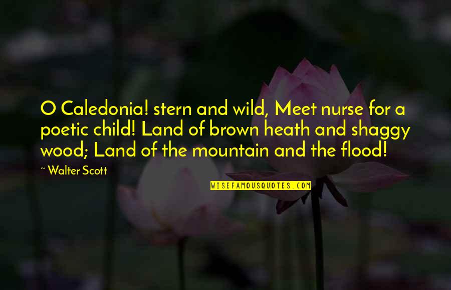 May The Best One Win Quotes By Walter Scott: O Caledonia! stern and wild, Meet nurse for
