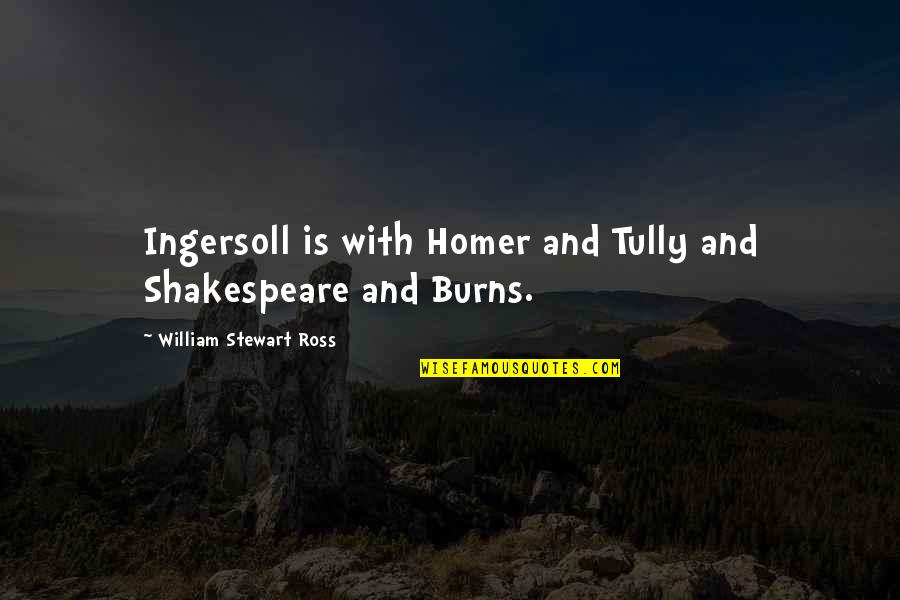 May You Be Successful Quotes By William Stewart Ross: Ingersoll is with Homer and Tully and Shakespeare