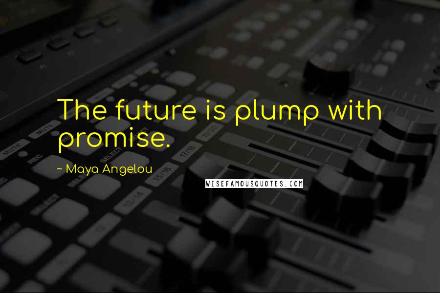 Maya Angelou quotes: The future is plump with promise.