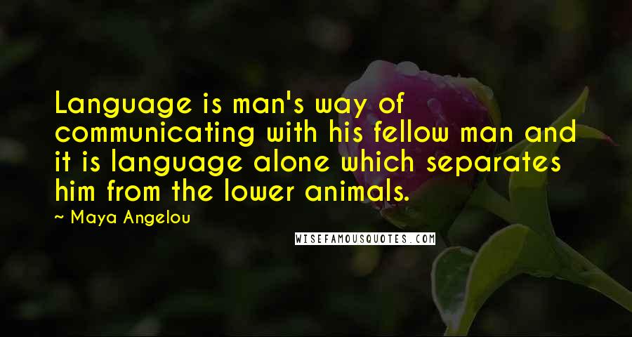 Maya Angelou quotes: Language is man's way of communicating with his fellow man and it is language alone which separates him from the lower animals.