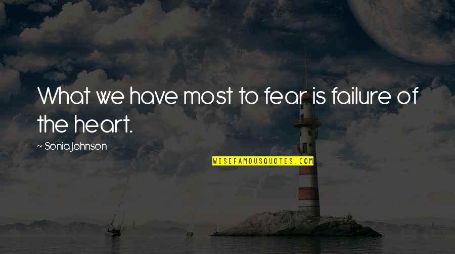 Maybe Being In Love Quotes By Sonia Johnson: What we have most to fear is failure Maybe Being In Love Quotes By Sonia Johnson: What we have most to fear is failure