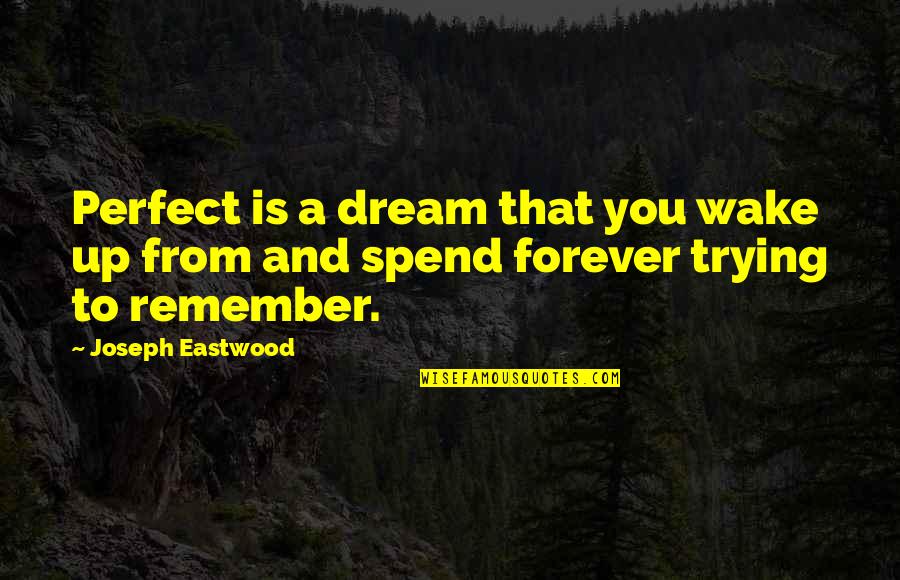 Maybe It Won't Work Out Quotes By Joseph Eastwood: Perfect is a dream that you wake up